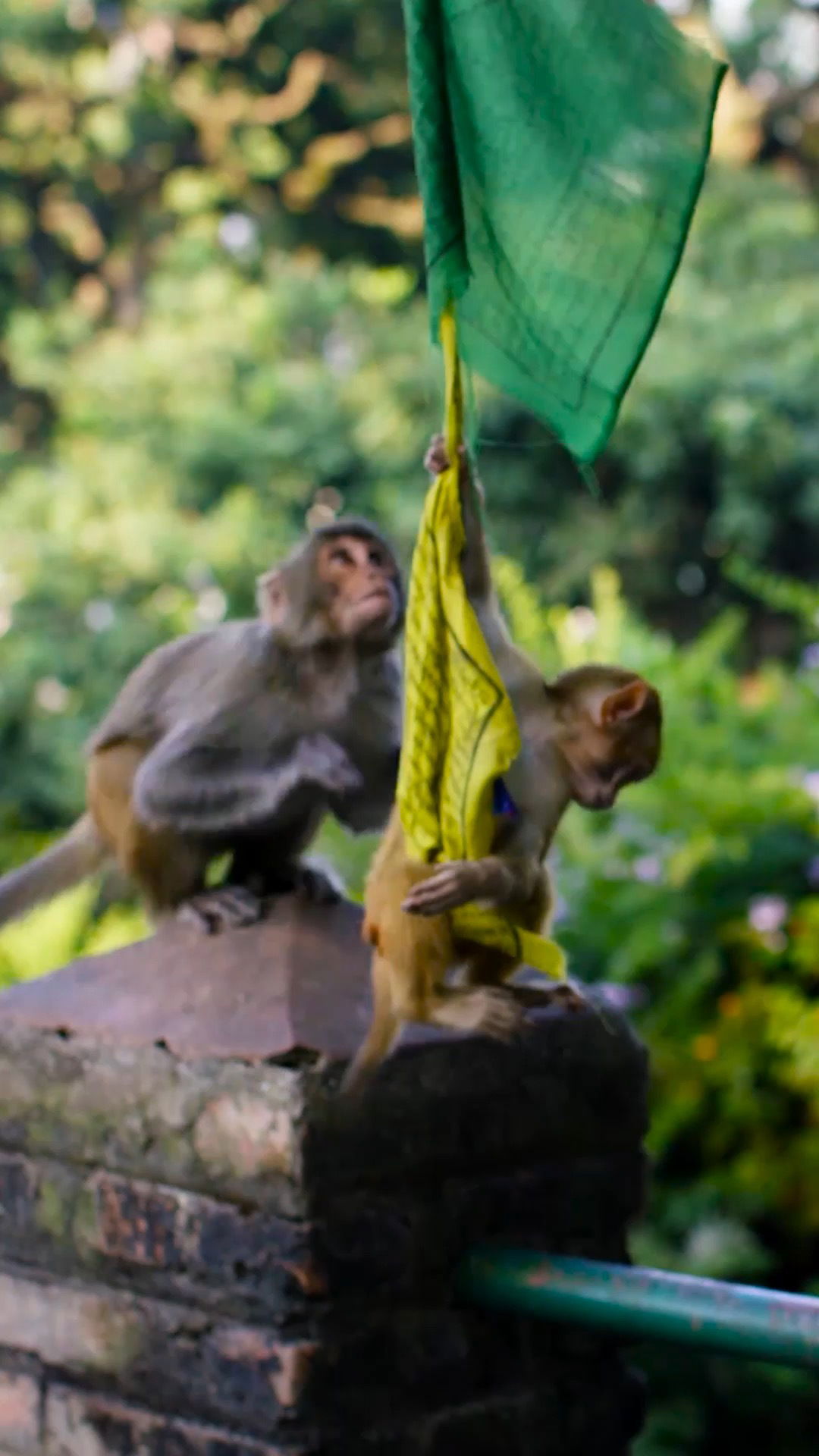 ผมชื่อ 10K นะครับ photo