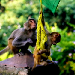 ผมชื่อ 10K นะครับ photo