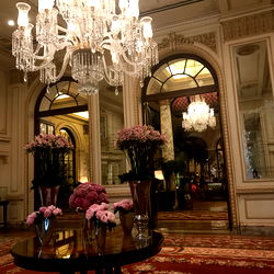 ๐๐๐ซ๐ฅ๐ข๐ง๐ โจ photo