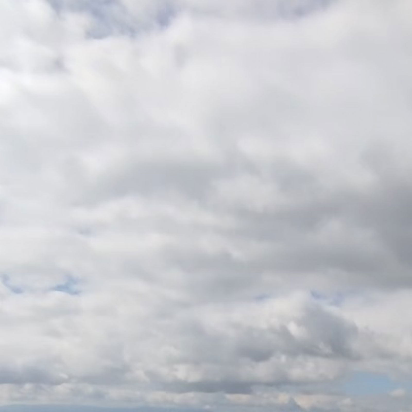 🔮Dolce Lottatore photo