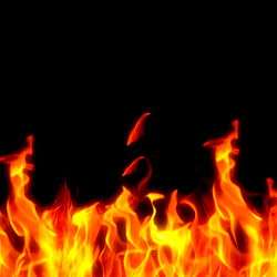 Alexis Sandoval photo