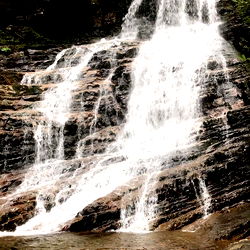 Baby blue whiskey photo