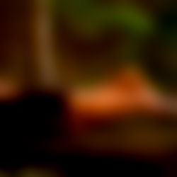 Foxy ๐ ๐๐ ๐พ๐ฌ๐ป ๐ฆ๐ photo