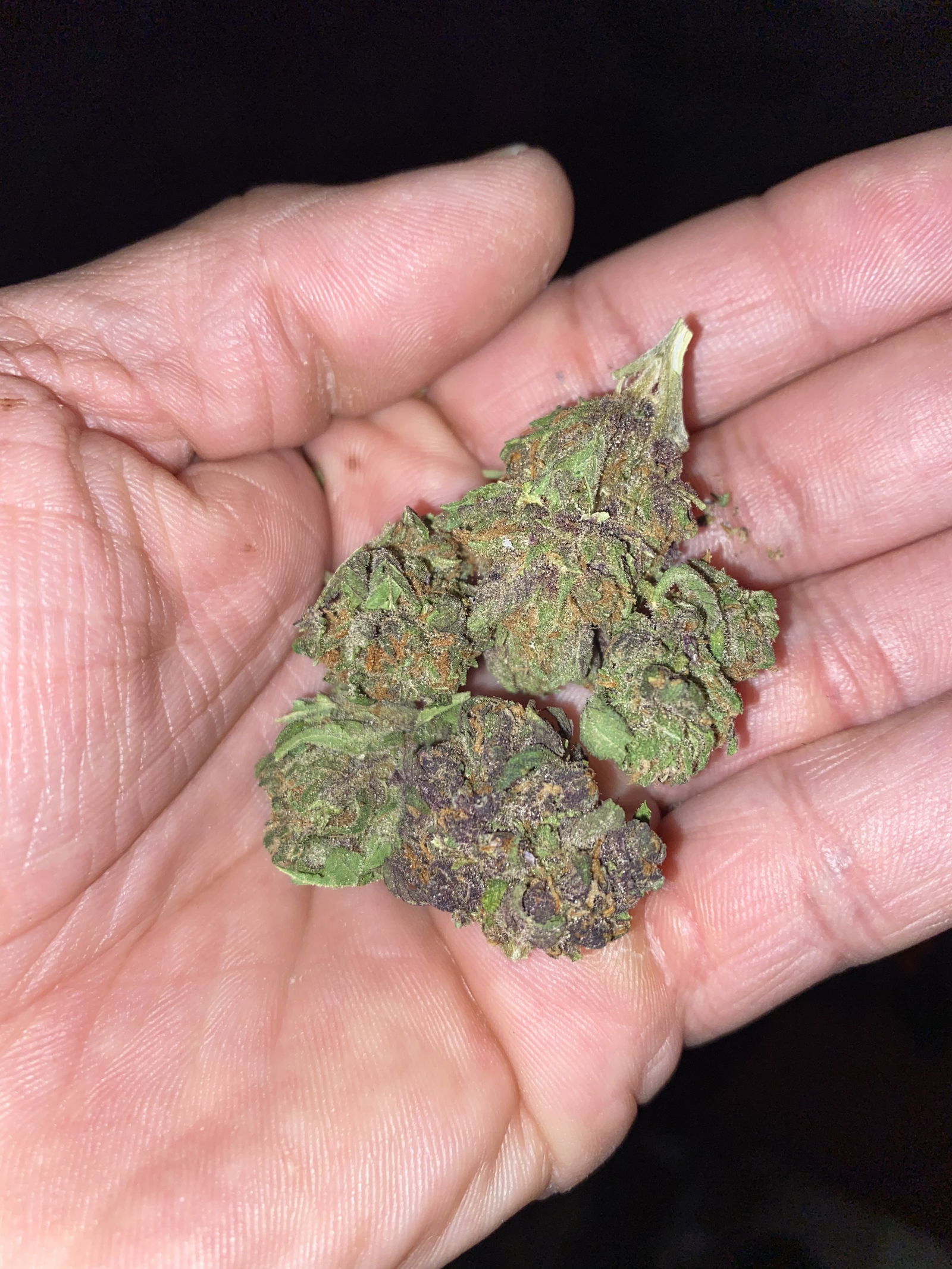 #1_Johnny_Blaze photo