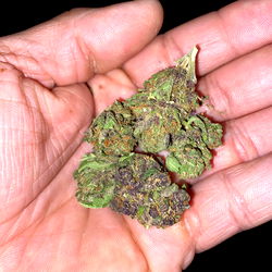 #1_Johnny_Blaze photo