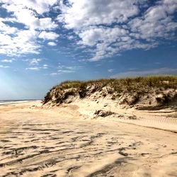 beach bum 102019 photo