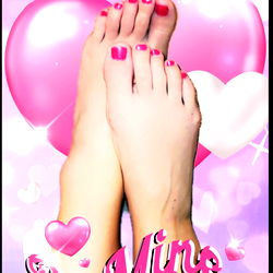 Autumn Flowers photo