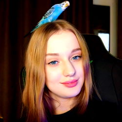 Gaming Streamer with Parakeet on Head