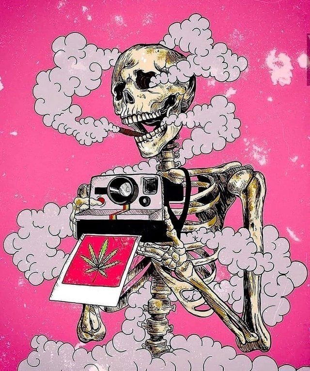 Allie crescent🙈✨👋 photo