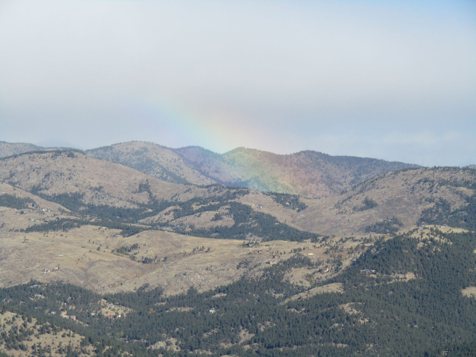 sunshine ☀️ photo