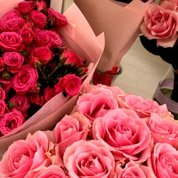 Allie ✨🌜🦋🌛✨ photo