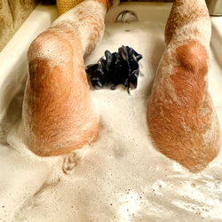 Onlyfans Model in Bath