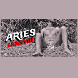 Aries LXXXVIII 🇮🇹🔥 (⭐TOP 57) photo