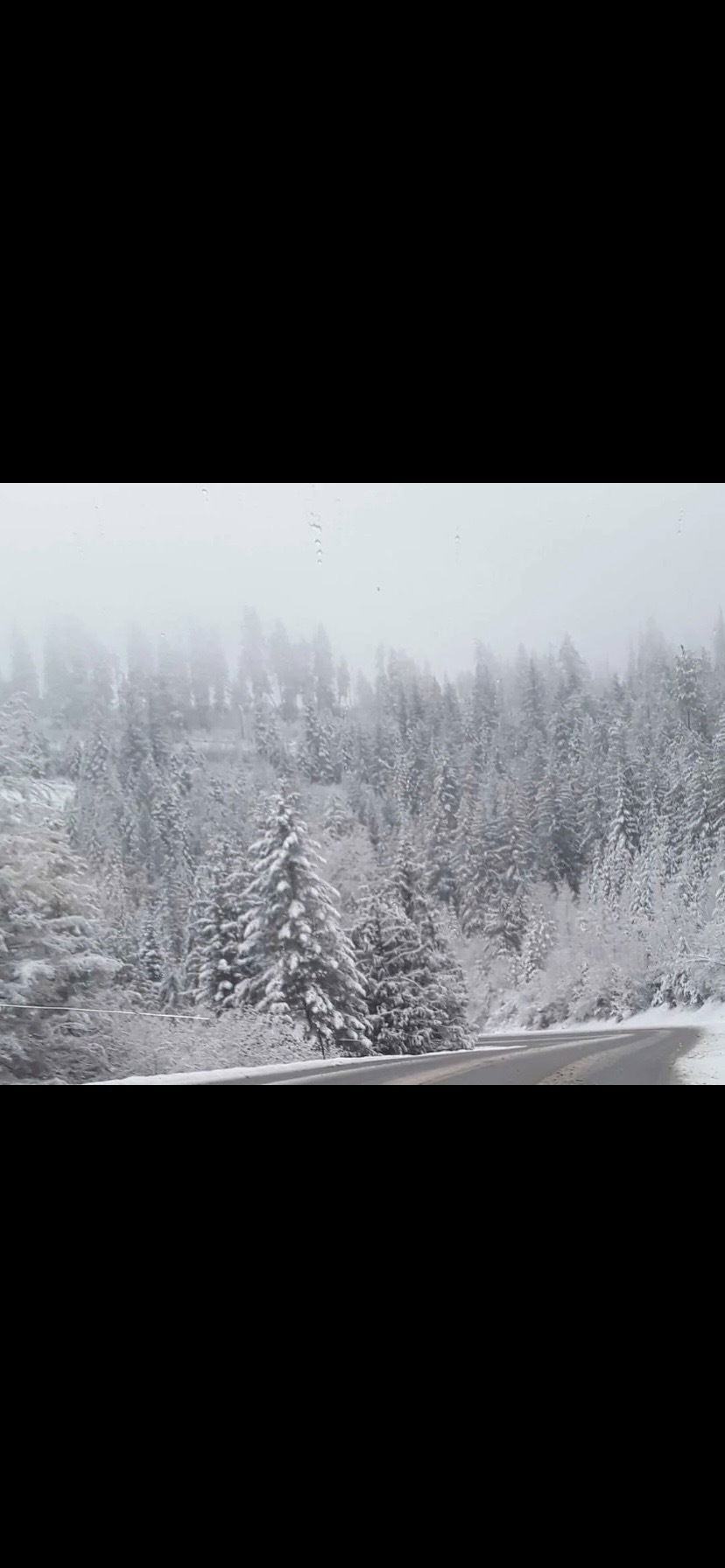 Casey-lee Pappan photo