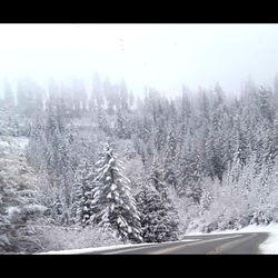 Casey-lee Pappan photo