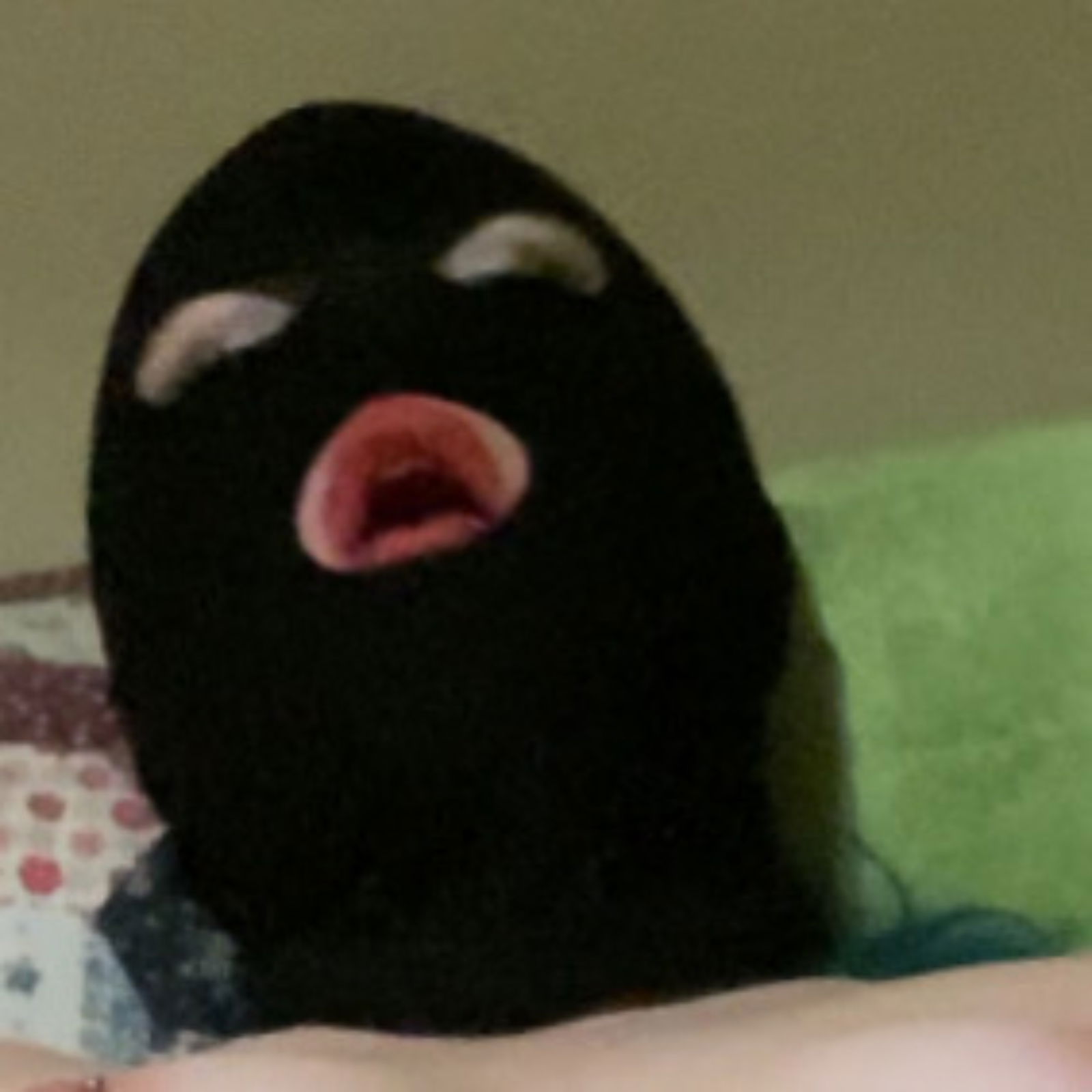 Miss Ramona| genderqueer photo