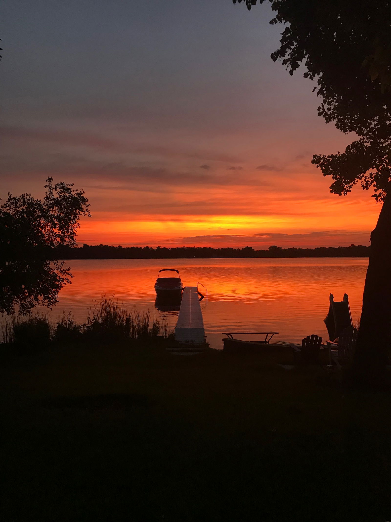 Desean Williams photo