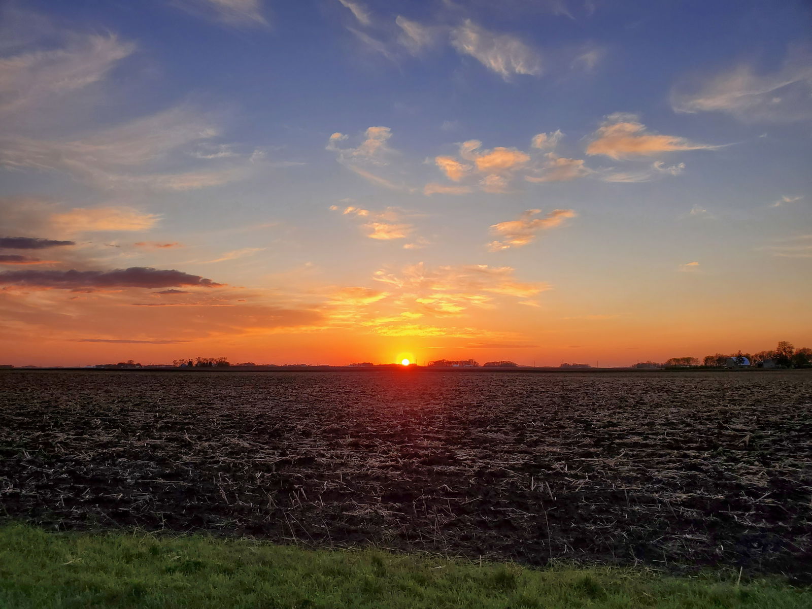 Paradise Rosales photo