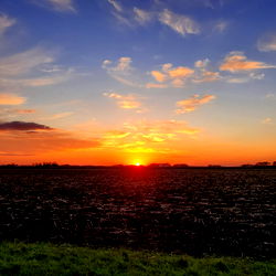 Paradise Rosales photo