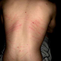 Marky's Ink Collection