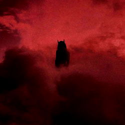 Alexandra Dream photo