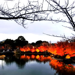 Serene Autumn Evening by a Lake