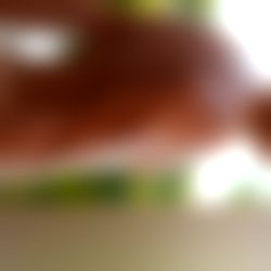 OnlyRulo ๐ฆ๐ท Your Argentine boy photo