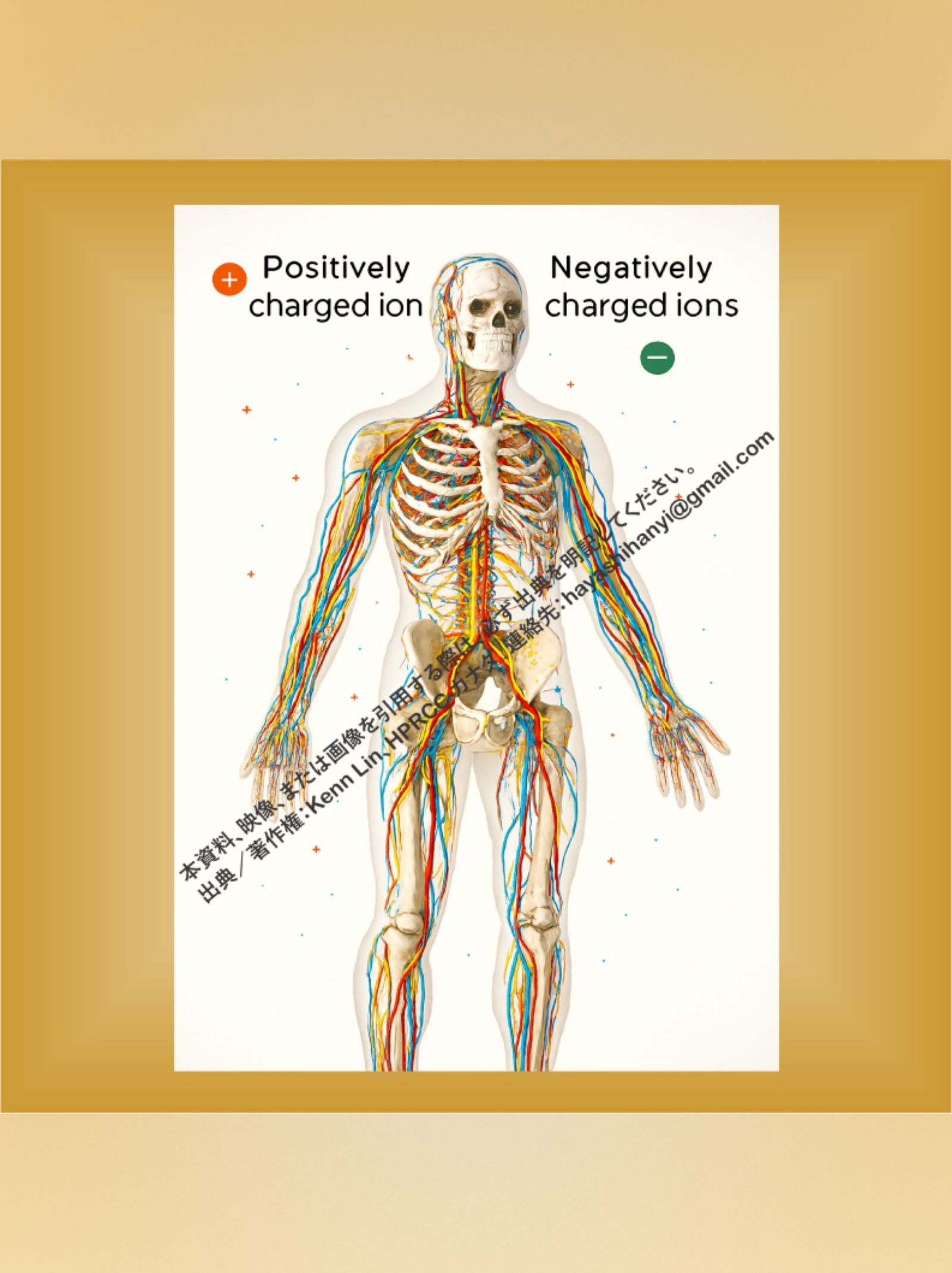 AML Massage 마사지 マッサージ photo