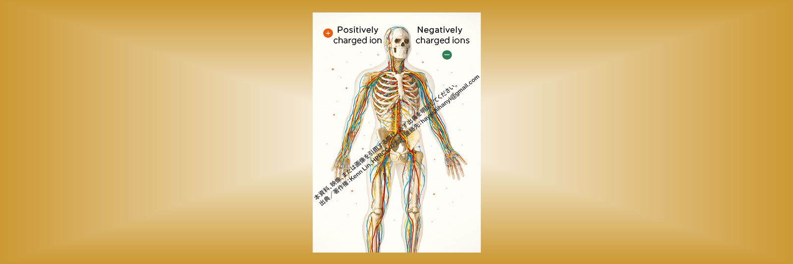 AML Massage 마사지 マッサージ photo