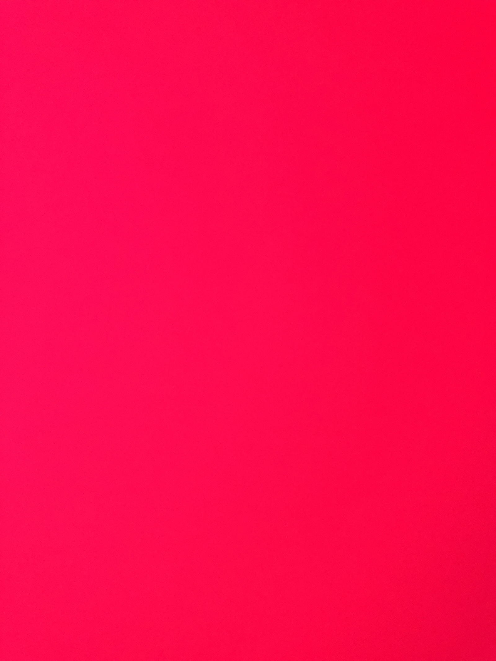 florida man 😈 photo