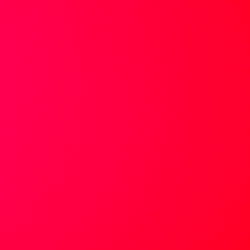 florida man ๐ photo