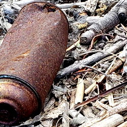 Discarded Rusty Object in the Grass