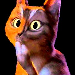 Adorable Cat Character on a Black Background