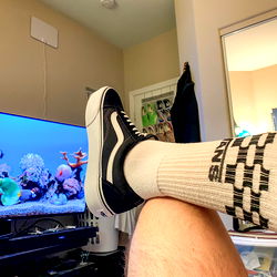 Socks Sneakers and Skates photo