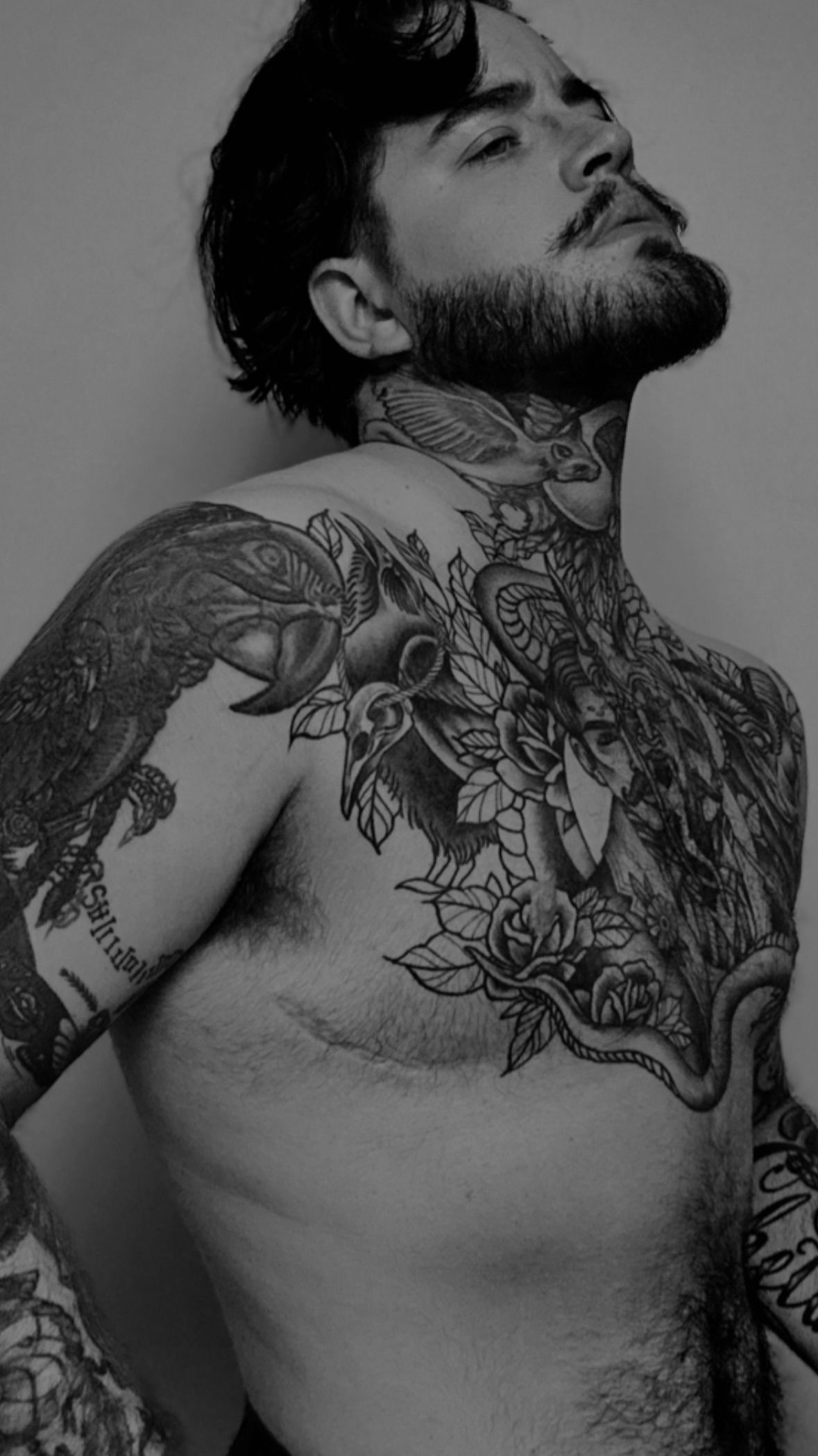 Booktok's trans dad photo