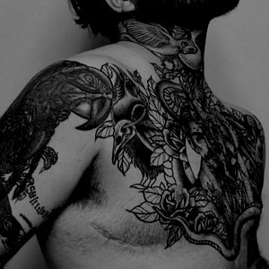 Booktok's trans dad photo