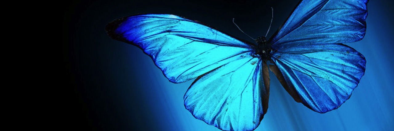 🦋Natasha Jade🦋 photo