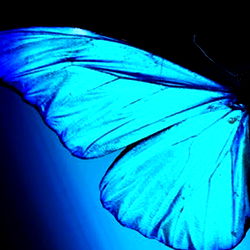 🦋Natasha Jade🦋 photo