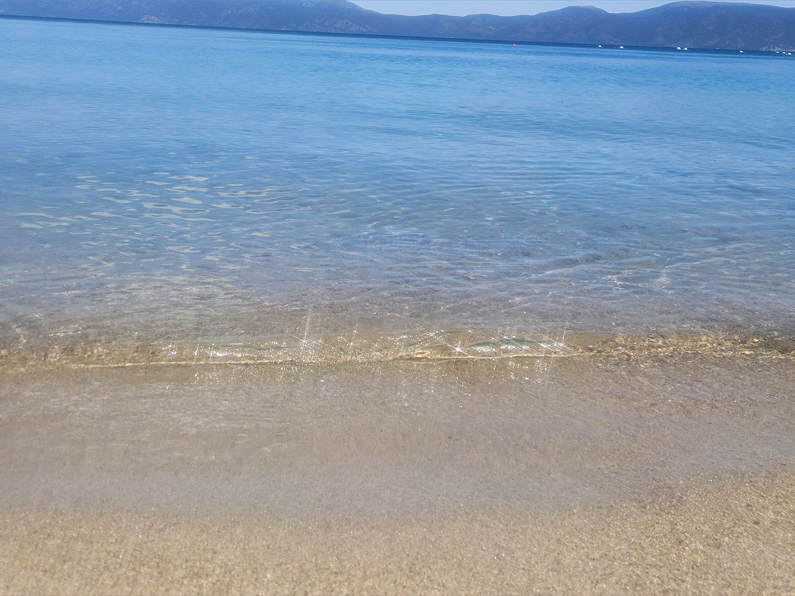 Darksirenscall photo