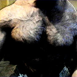 biggestbaddestbeast photo