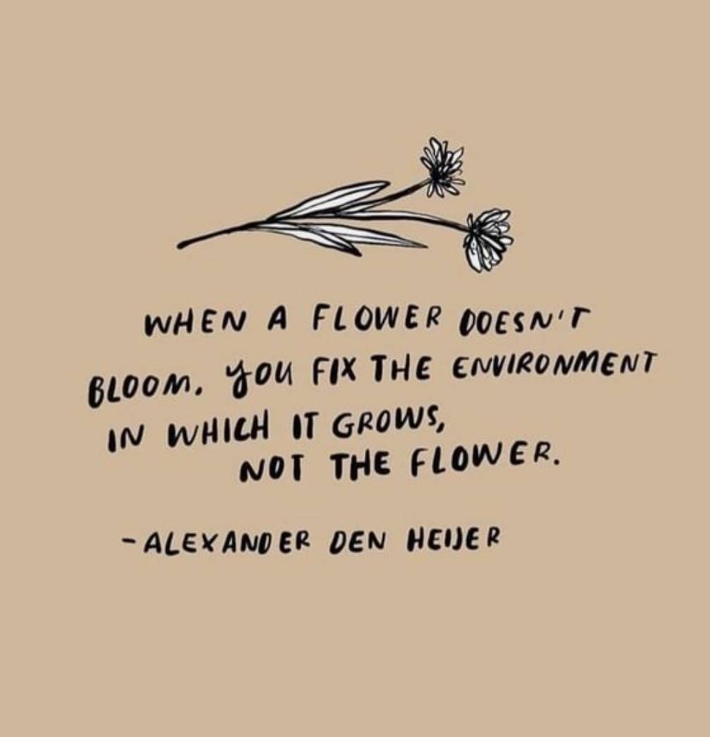 Americanhoney12 photo