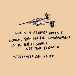 Americanhoney12 photo