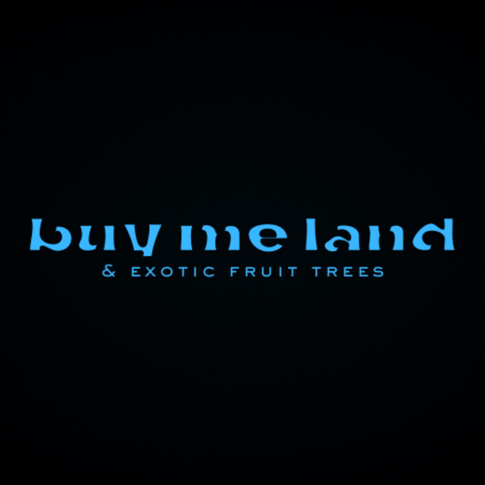 HOLISTIC COOCHIE GUIDE photo