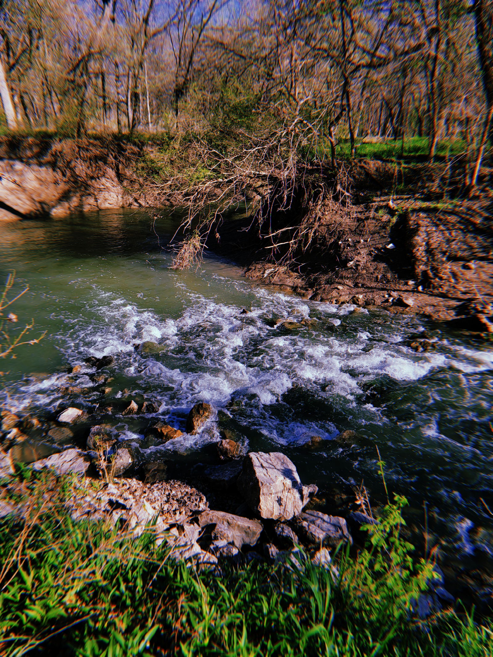 Chaos (they/he) photo