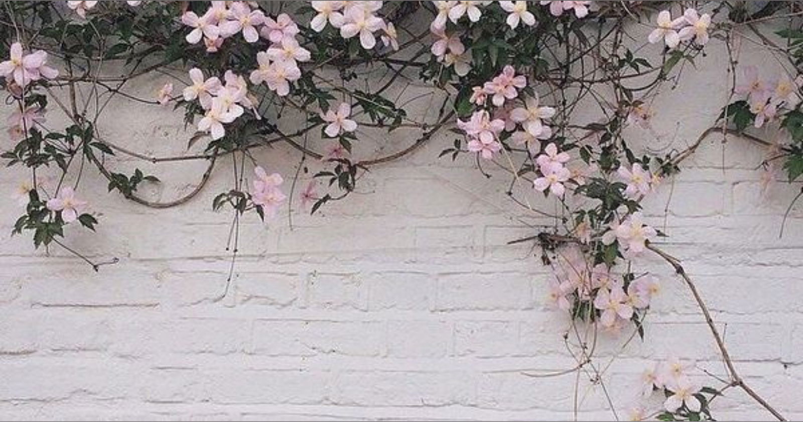 Tattooed Princess ✨ photo