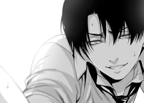 Diamond_rose_fox907 photo