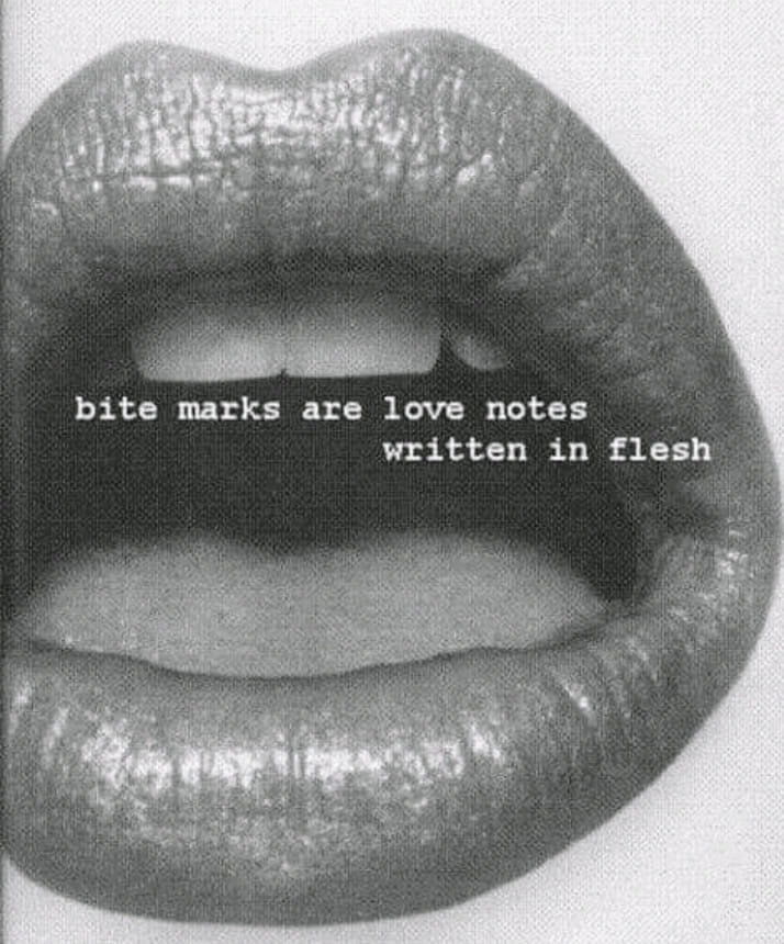 Aurora Phoenix photo