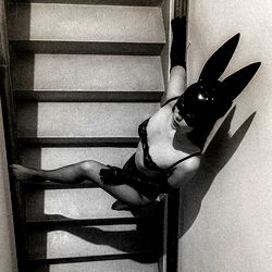 Onlyfans Model in Bunny Costume, 𝙎𝙤𝙥𝙝𝙞𝙖 𝙁𝙚𝙧𝙧𝙚𝙧 🔥