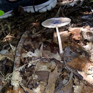 FiendlyFriendly photo