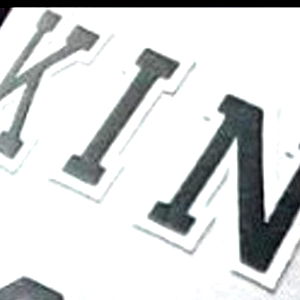 BroganBeatBussy photo